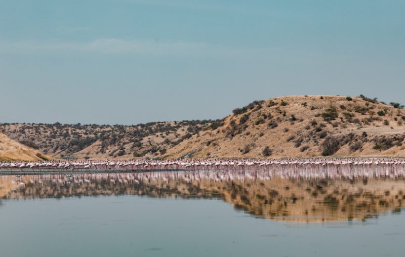 Lake Nakuru, Bogoria, Naivasha & Masai Mara