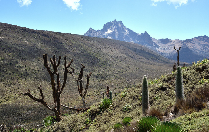 Mount Kenya Trekking Tour, Sirimon – Chogoria Route