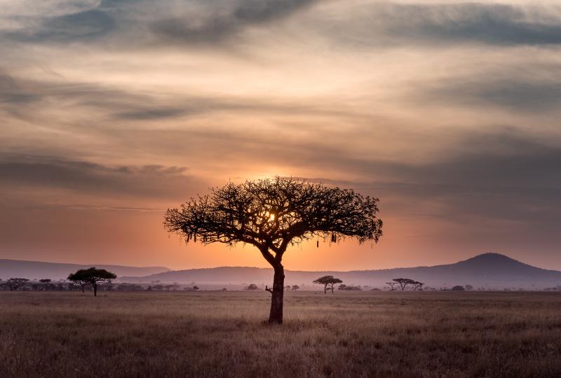 Samburu, L. Nakuru & Masai Mara