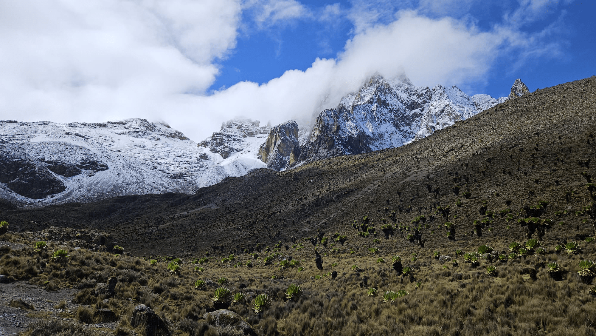 Mount Kenya Climbing