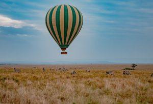 Best Time For Kenya Safari