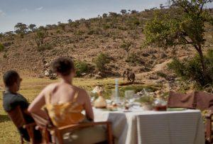 Great Migration Flying Safari