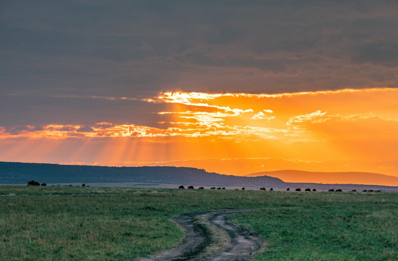 Lakes Nakuru, Bogoria, Naivasha & Masai Mara 